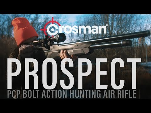 Experience Silent Precision with the Crosman Prospect™ Air Rifle