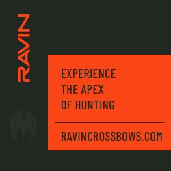 RVN – Current Promotions – 2 Free Gifts